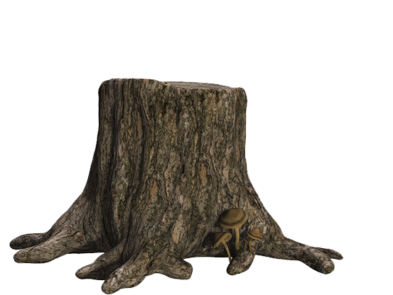 Dirt Pile